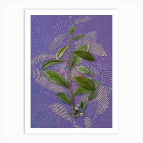 Vintage Grey Willow Botanical Illustration on Veri Peri n.0623 Art Print