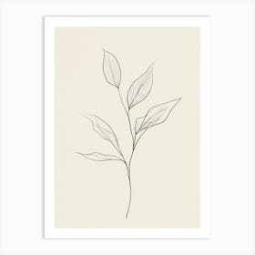 Drawing Of A Leaf 3 Art Print