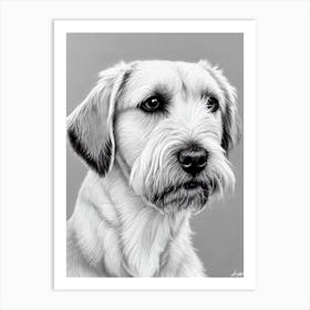 Border Terrier B&W Pencil Dog Art Print