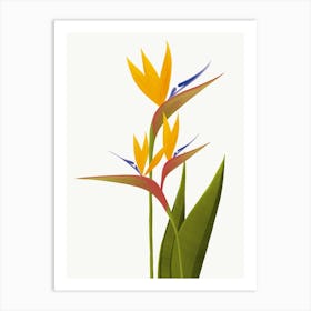 Bird Of Paradise Flower Illustration Art Print