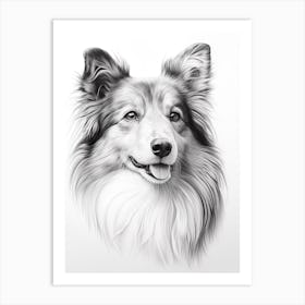 Shetland Sheepdog Dog, Line Drawing 1 Art Print