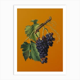 Vintage Black Grape Botanical on Sunset Orange n.0666 Art Print