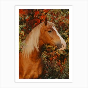 Horse Fall Colors Art Print