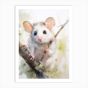 Light Watercolor Painting Of A Curious Possum 1 Art Print