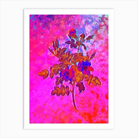 Pink Rosebush Bloom Botanical in Acid Neon Pink Green and Blue n.0038 Art Print