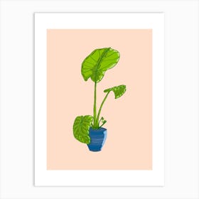 Monstera Plant In A Pot 2 Art Print