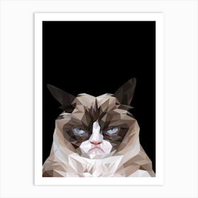 Grumpy Cat meme Art Print