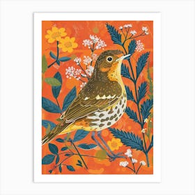 Spring Birds Hermit Thrush 1 Art Print