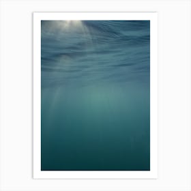 Under The Sea 43 Art Print