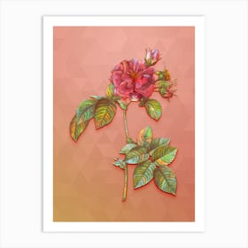 Vintage Pink Francfort Rose Botanical Art on Peach Pink n.0345 Art Print