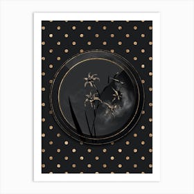Shadowy Vintage Gladiolus Cuspidatus Botanical in Black and Gold n.0069 Art Print