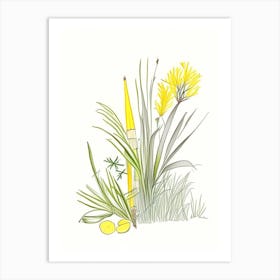 Lemon Grass Spices And Herbs Pencil Illustration 3 Art Print