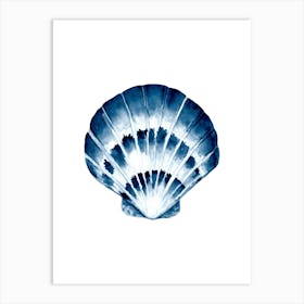 Blue Seashell Art Print