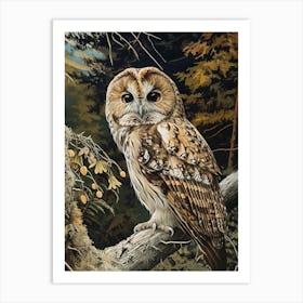 Oriental Bay Owl Relief Illustration 3 Art Print