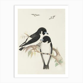 Two Birds Perched On A Branch 5 Art Print