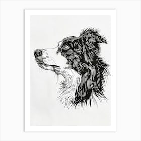 Miniature American Shepherd Dog Line Sketch 1 Art Print