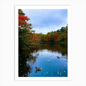 An Autumn Inspired Digital Painting Of A Placid Duck Pond In A Park Surrounded By Vibrant Spruce Tre Art Print