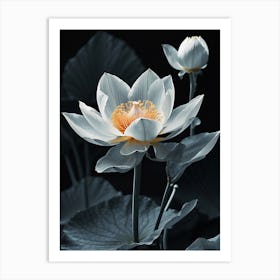 Lotus Flower 10 Art Print