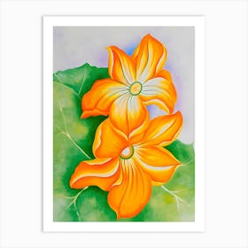 Georgia O'Keeffe - Squash Blossom Art Print