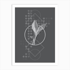 Vintage Koemferia Longa Botanical with Line Motif and Dot Pattern in Ghost Gray n.0217 Art Print