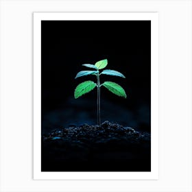 Small Green Plant On Dark Background 4 Art Print