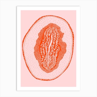 Melone2 Art Print