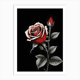 Red Rose On Black Background 1 Art Print