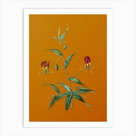 Vintage Flame Lily Botanical on Sunset Orange n.0716 Art Print
