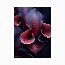 Macro Orchids 2 Art Print