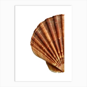 Colored seashells. Seashells. Summer. 12 Art Print