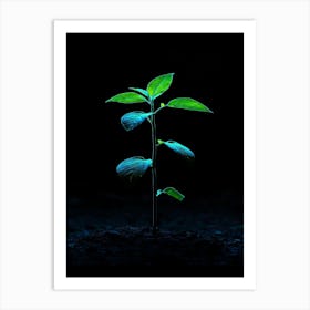 Young Green Plant On Black Background Art Print