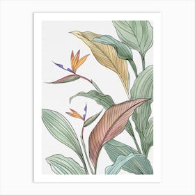 Bird Of Paradise Art Print