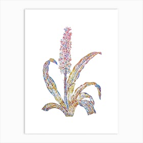 Stained Glass Eucomis Punctata Mosaic Botanical Illustration on White n.0257 Art Print