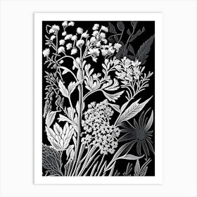 Wild Quinine Wildflower Linocut 1 Art Print