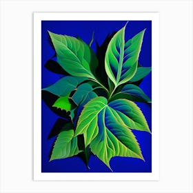 Borage Leaf Vibrant Inspired Art Print