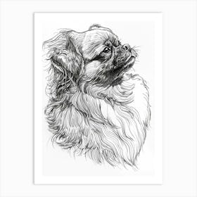 Pekingese Dog Line Sketch 2 Art Print