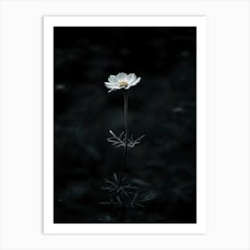 Flower In The Dark 76 Art Print