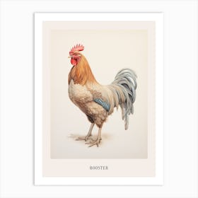 Vintage Bird Drawing Rooster 1 Poster Art Print