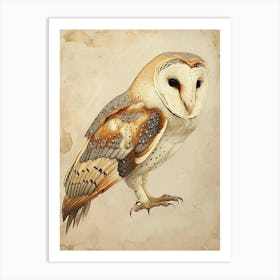 Barn Owl Painting 7 Art Print