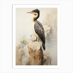 Vintage Bird Drawing Cormorant 2 Art Print