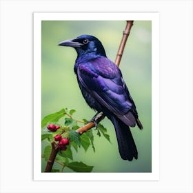 Winged Majesty: Purple-Throated Fruitcrow Wall Art 1 Art Print