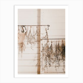 Dried Lavender Art Print