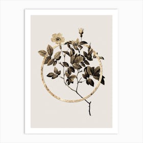 Gold Ring Vintage Rosebush Glitter Botanical Illustration n.0266 Art Print