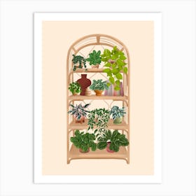 Plant Shelf 9 Art Print