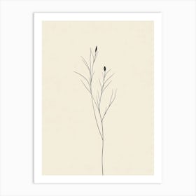 Lily Of The Valley Art Print