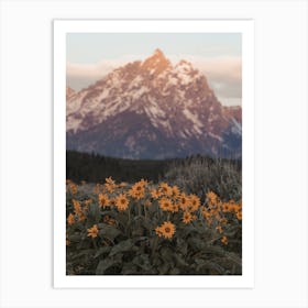 Mountain Wildflowers Art Print