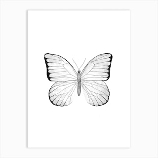 White Butterfly Art Print