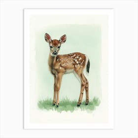 Fawn Illustration Art Print