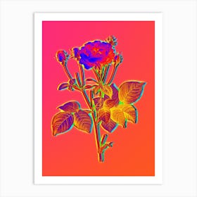Neon Pink French Roses Botanical in Hot Pink and Electric Blue n.0421 Art Print