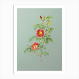 Vintage Single May Rose Botanical Art on Mint Green n.0999 Art Print